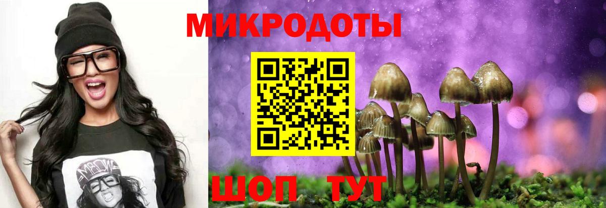 Киселёвск  Псилоцибиновые грибы ЛСД  купить  цена  Вход с VPN  Галлюциногенные грибы ЛСД 